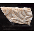 A Roman marble architectural fragment, ca 1st century AD